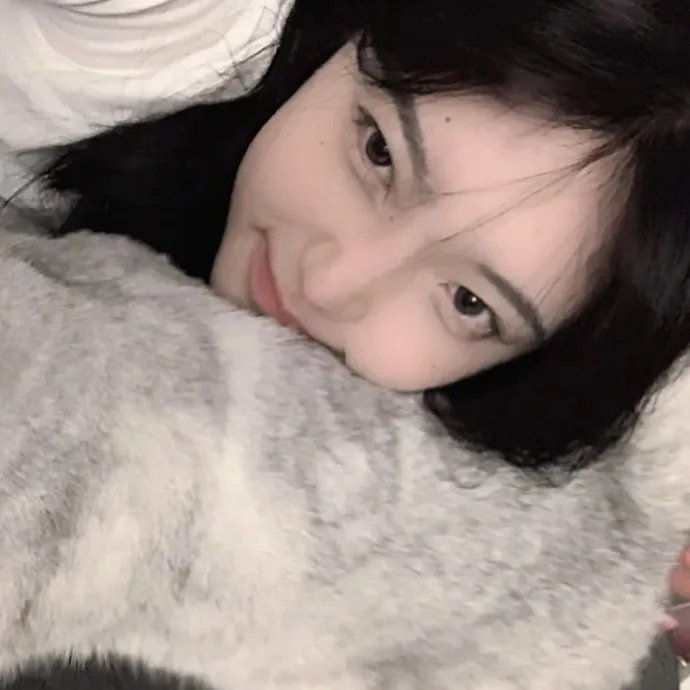 神圣无花果之种