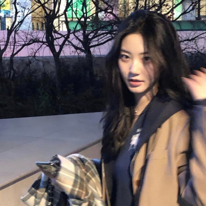 奔流犬：先生归来